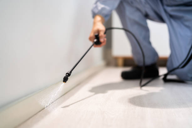 Rodent Entry Point Assessment in East Chicago