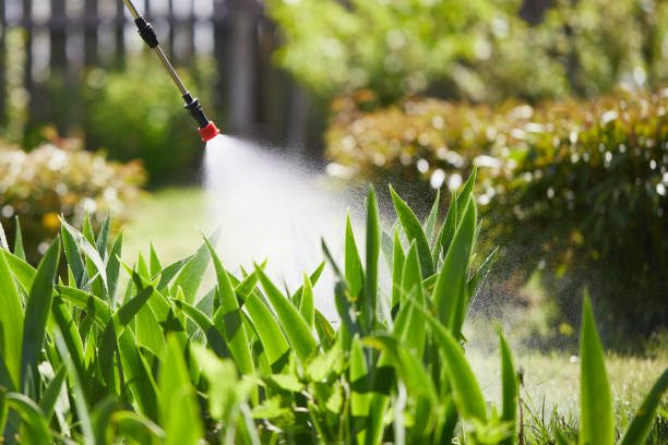 Tamper-Resistant Bait Stations for Rodents in East Chicago
