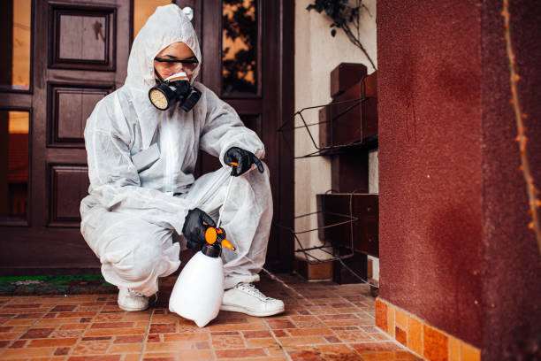 Attic and Crawl Space Rodent Treatment in East Chicago