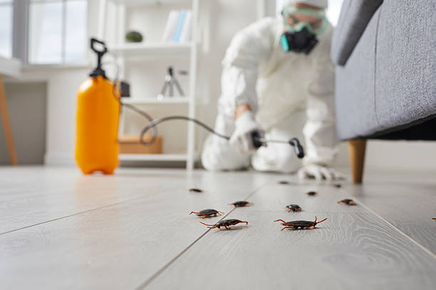 Commercial Rodent Management in East Chicago
